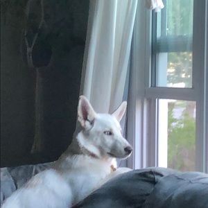 Meet your Posher, Persaya